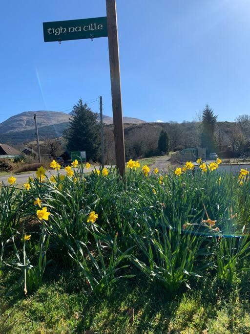 Tigh Na Cille Studio, Taynuilt Exterior photo
