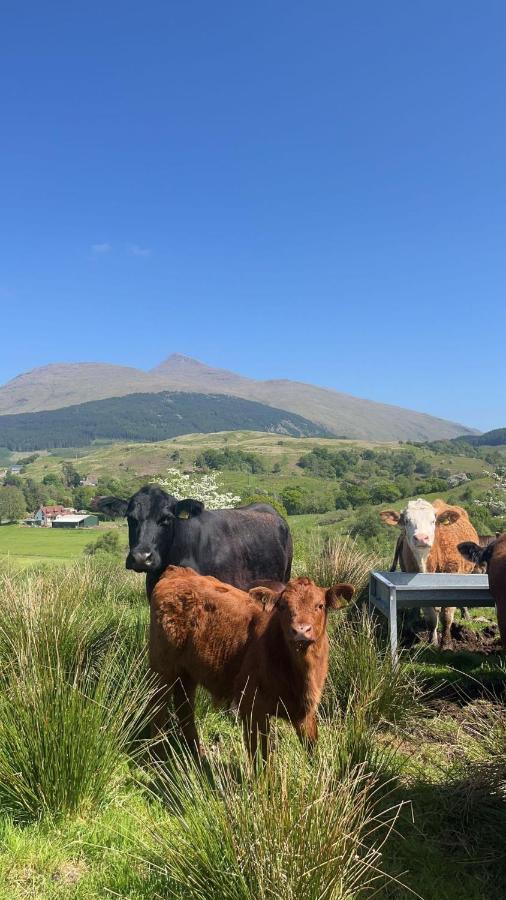 Tigh Na Cille Studio, Taynuilt Exterior photo
